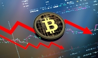 中欧科技成长混合成立 首募规模约291亿元